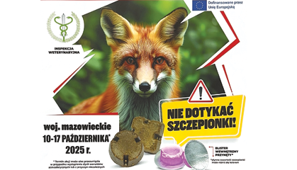 Zdjęcie: Szczepienie lisów przeciwko wściekliźnie